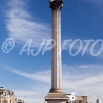 London - Nelson's Column