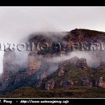 Algo de niebla